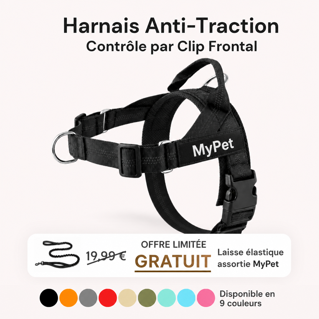 Harnais